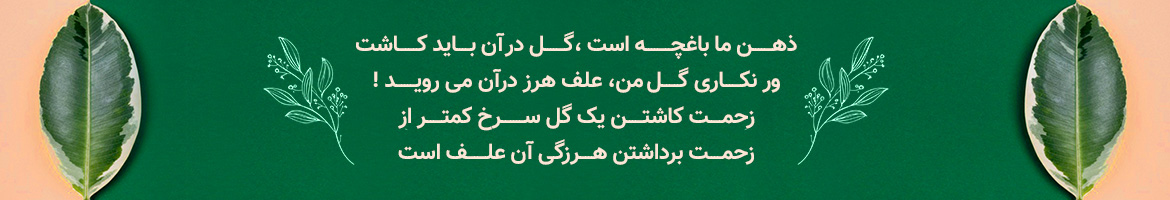جمله از در رابطه با مشتری مداری