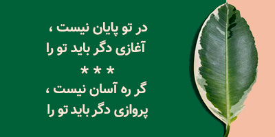 جمله ای در باب مشتری مداری