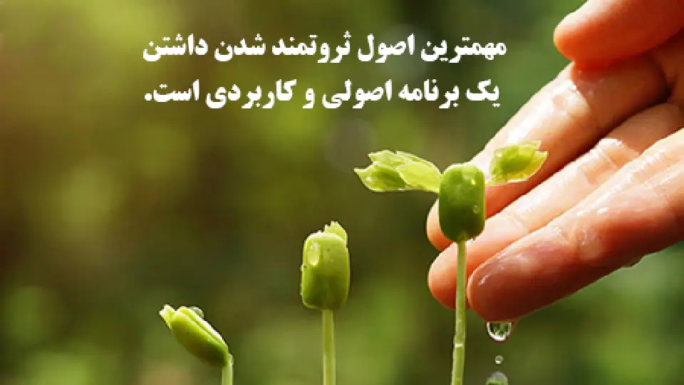 جمله ایی درباری ثروت